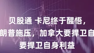 贝股通 卡尼终于醒悟，面对特朗普施压，加拿大要捍卫自身利益