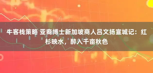 牛客栈策略 亚裔博士新加坡商人吕文扬宣城记：红杉映水，醉入千亩秋色